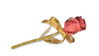 Pravá čajová ruža zušľachtená rýdzim zlatom a rubínovým práškom