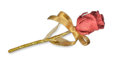 Pravá čajová ruža zušľachtená rýdzim zlatom a rubínovým práškom 2022